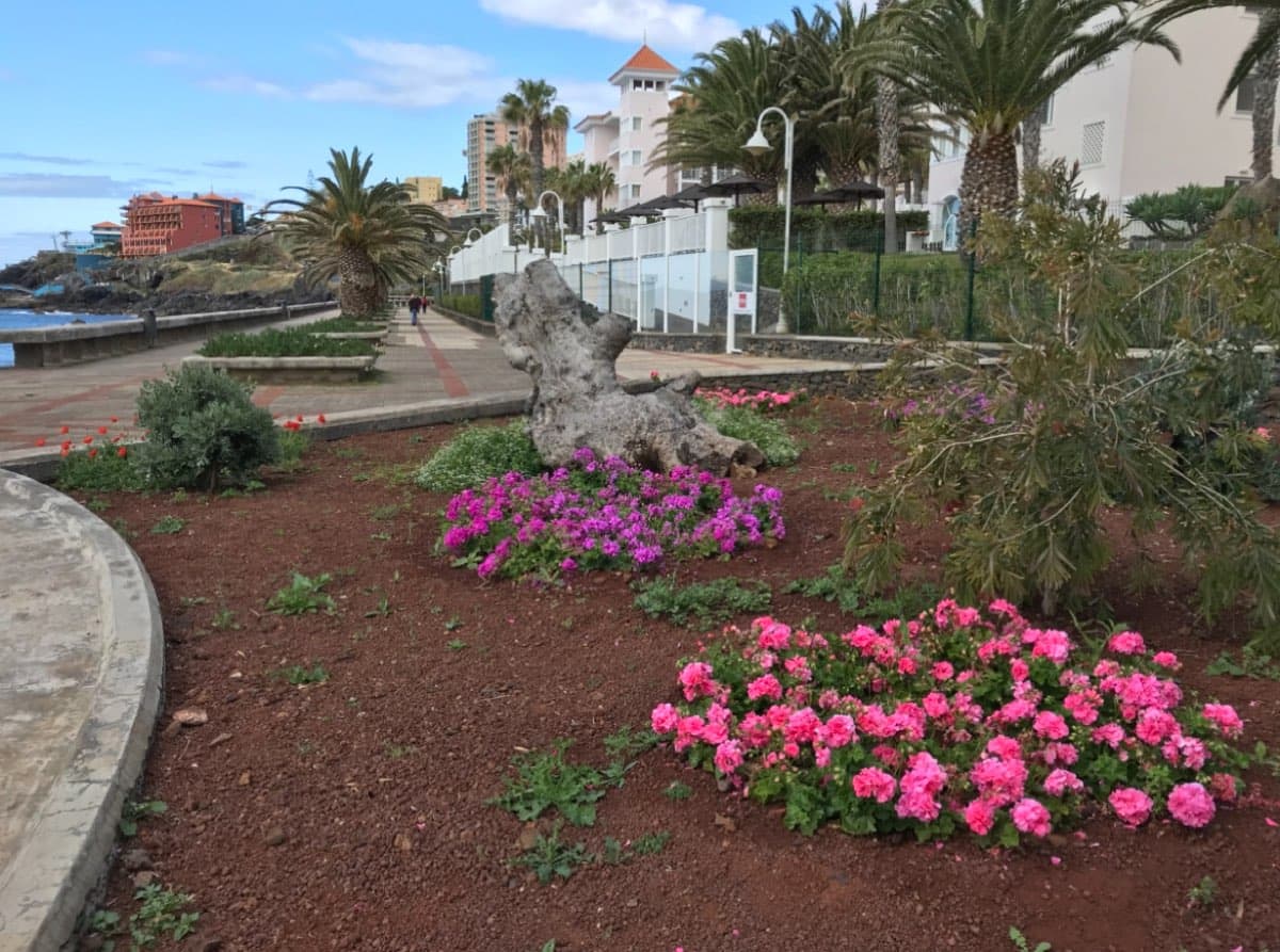 Penthouse on the Beach Madeira