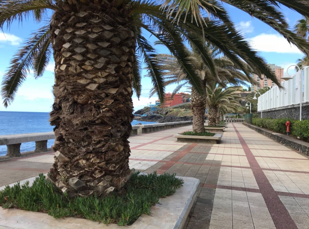 Penthouse on the Beach Madeira