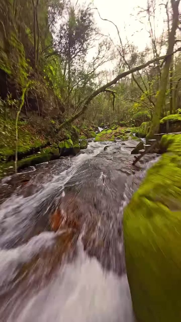 Levada Flow