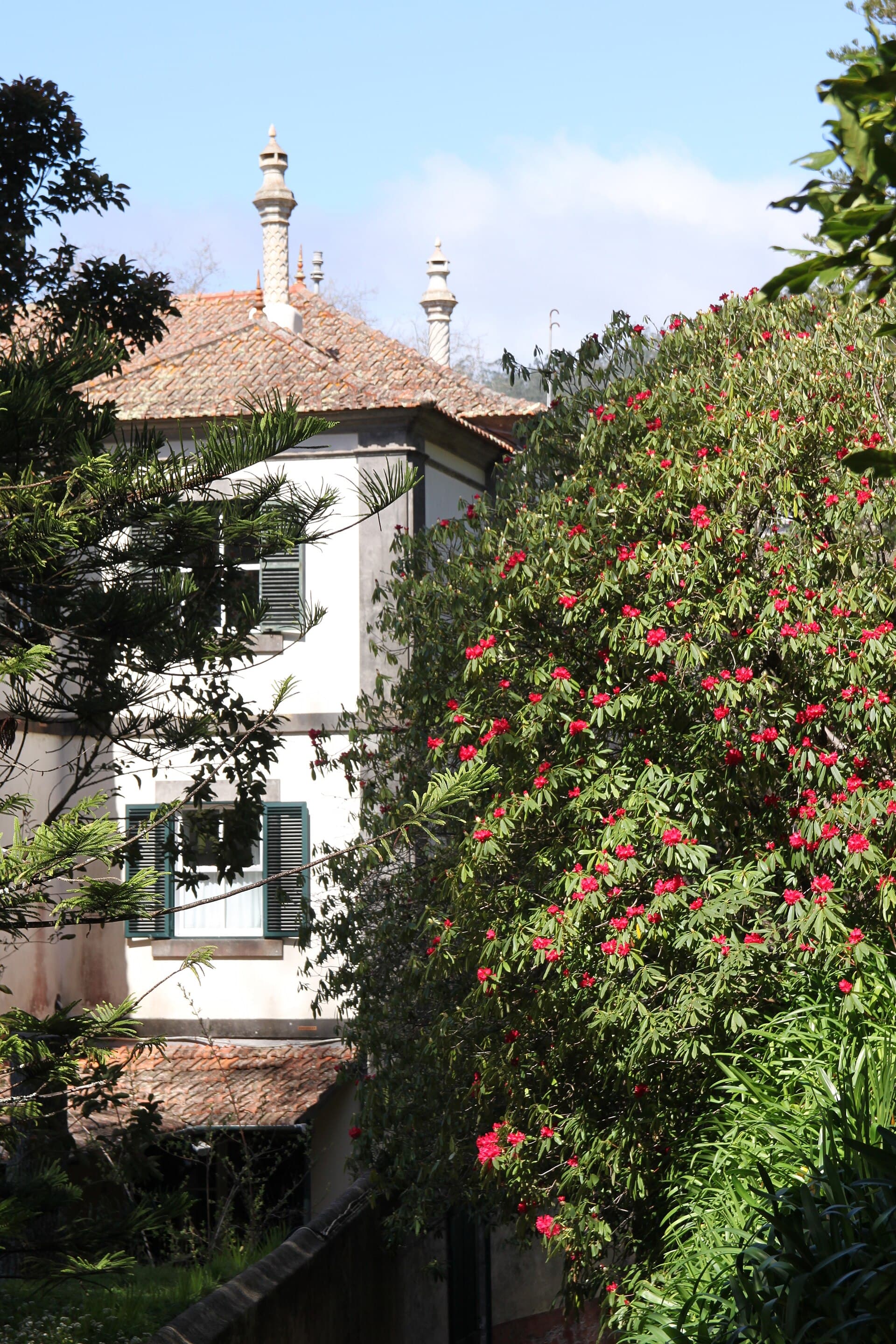 Quiet Luxury in Madeira